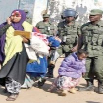 Over 500 Somalis rounded up, taken to a stadium in Zambia,